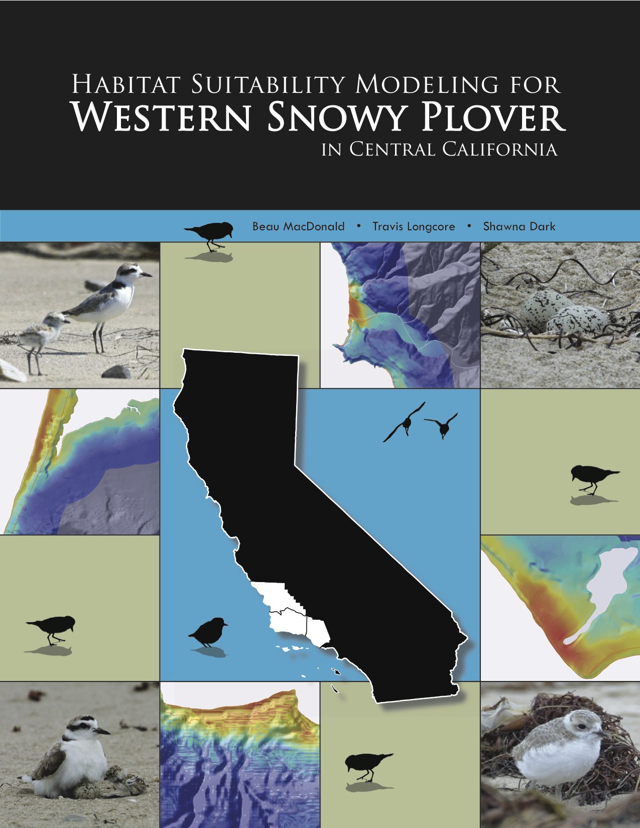 Western Snowy Plover Report Cover